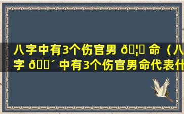 八字中有3个伤官男 🦁 命（八字 🌴 中有3个伤官男命代表什么）